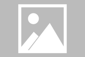 体育APP-“15分”来了|世界羽毛球联合会|世界羽联|比赛|开局|羽毛球